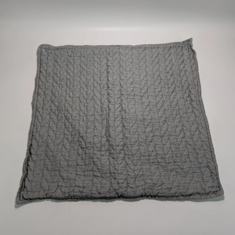 West Elm Organic Cotton Euro Pillow Sham Set - 26x26